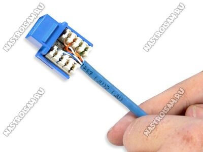 Разъем для кабеля интернета